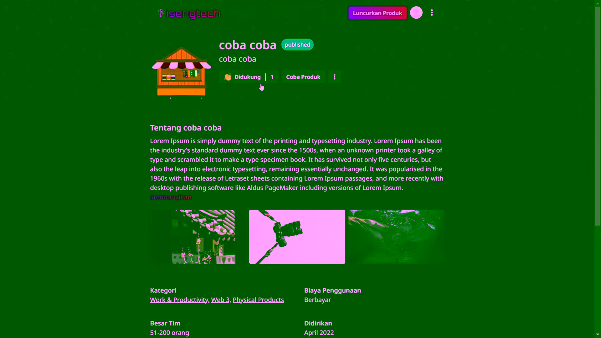 Portfolio image 4