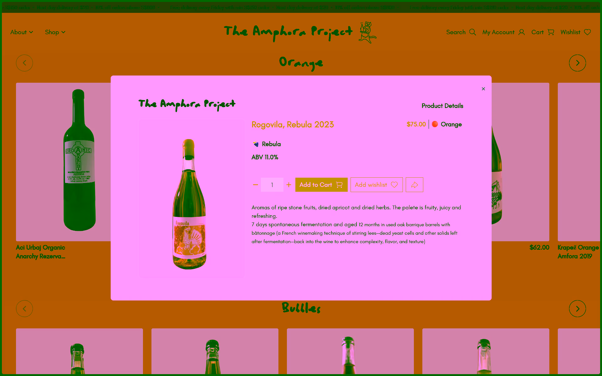 Portfolio image 3