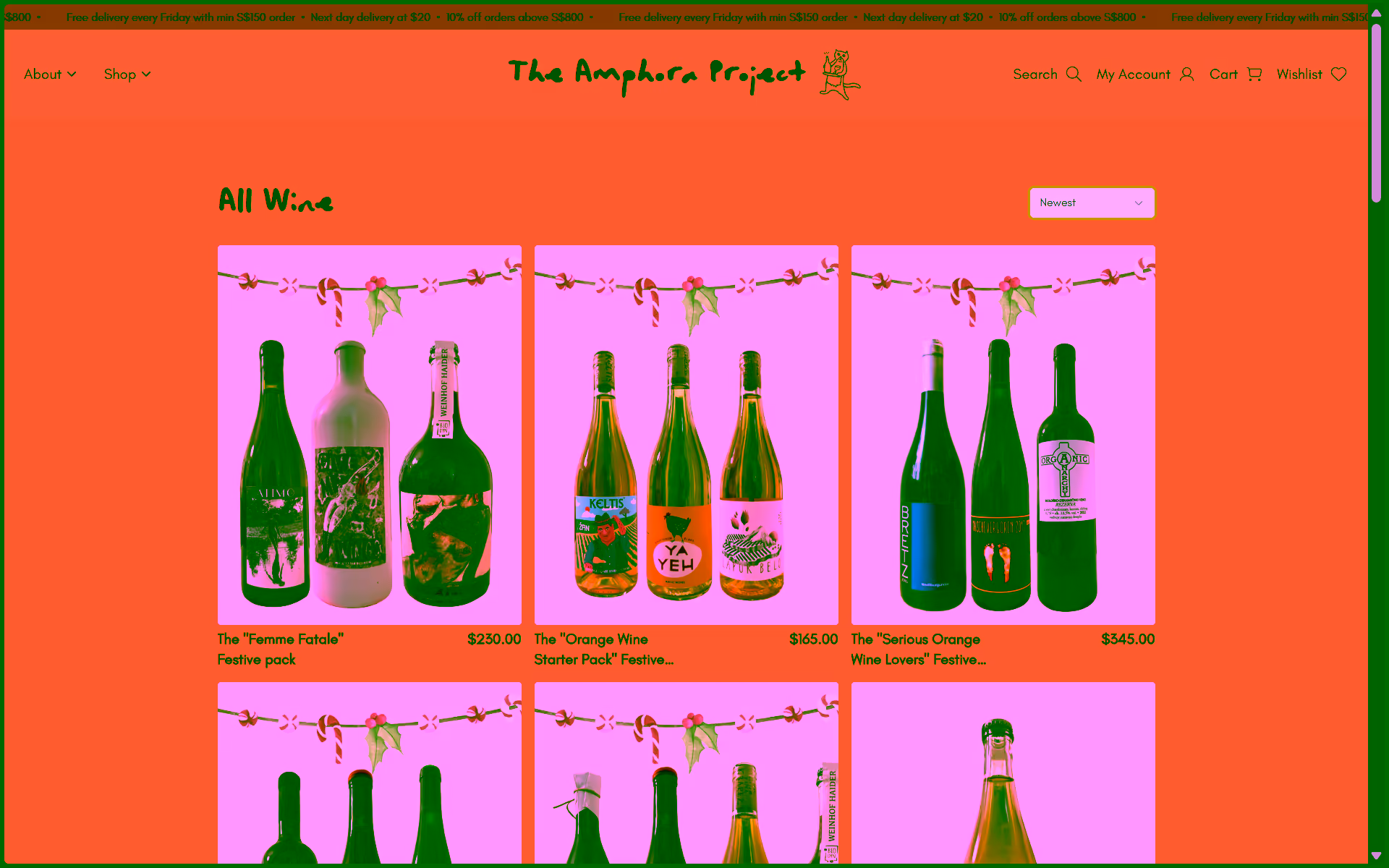 Portfolio image 4