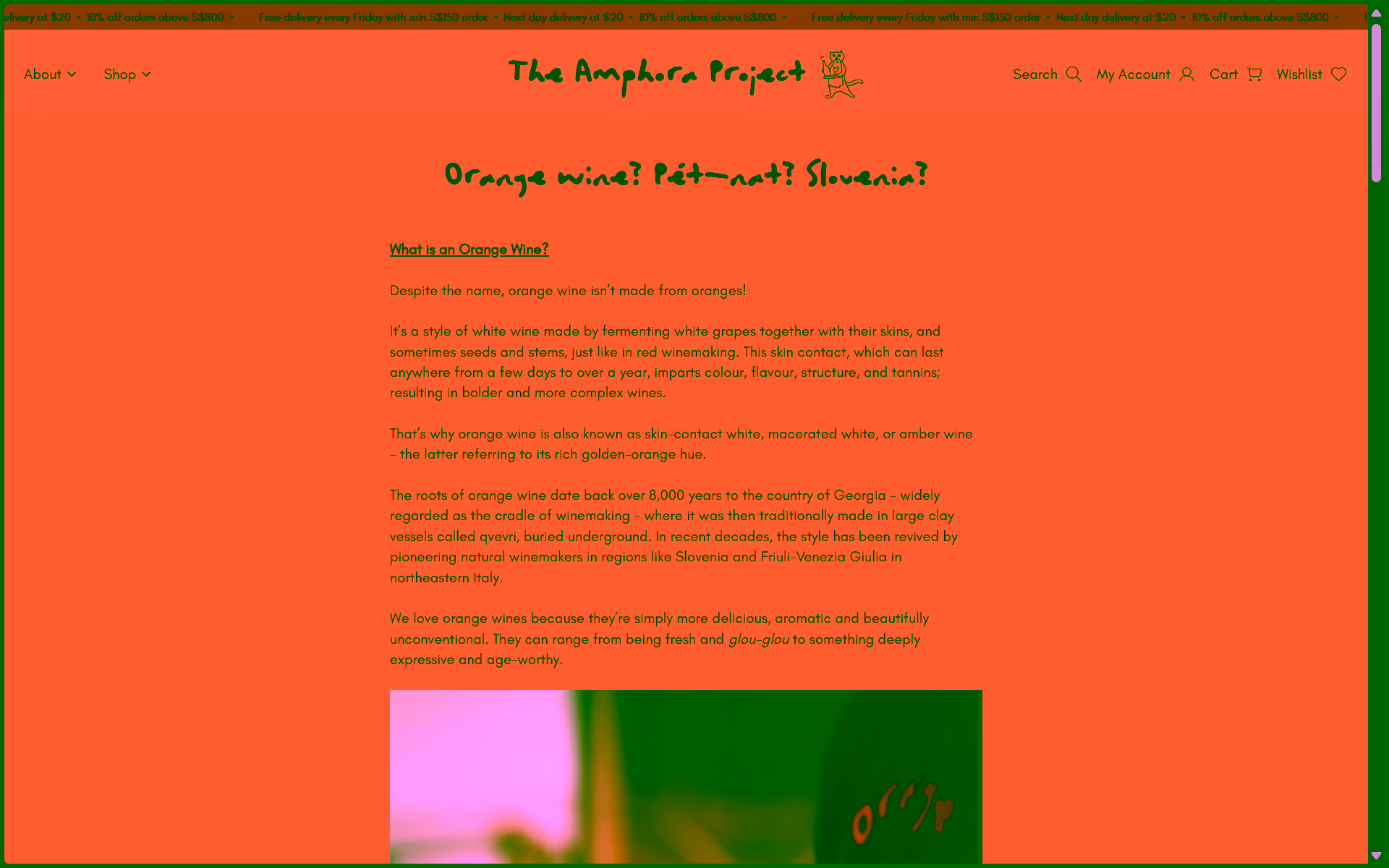 Portfolio image 5