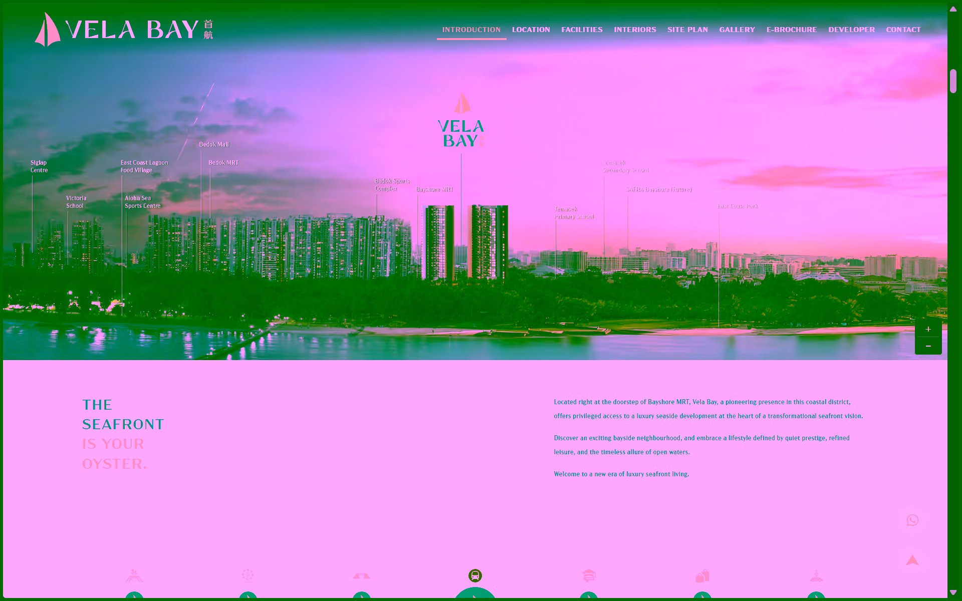 Portfolio image 2