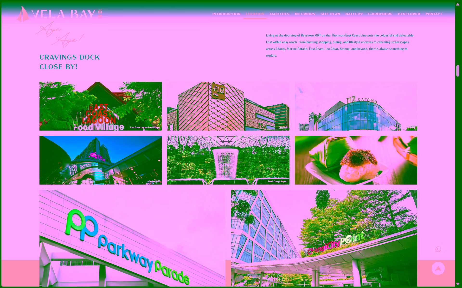 Portfolio image 3